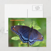 サテン発光 ポストカード (正面/裏面)