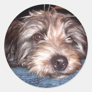 サディ ラウンドシール