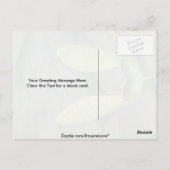 サトウカエデの実(acer sacchaum) ポストカード (裏面)