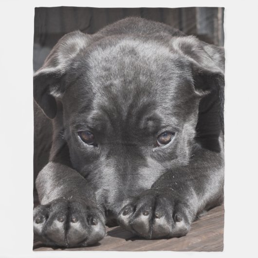サトウキビの子犬 フリースブランケット (正面)