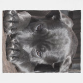 サトウキビの子犬 フリースブランケット (正面(横))