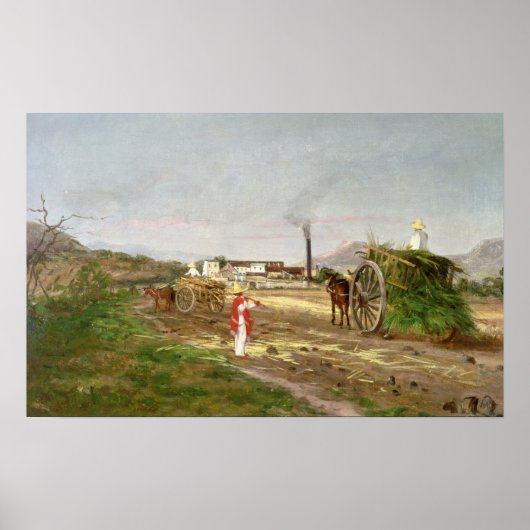 サトウキビを採取する農民 ポスター (正面)