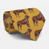 サトウキビコルソネクタイ ネクタイ (ロール)