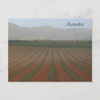 サトウキビ畑 – クイーンズランド,オーストラリア ポストカード
