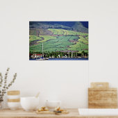 サトウキビ畑 – ラハイナ、マウイ ポスター (キッチン)