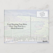 サトウキビ畑 – ラハイナ、マウイ ポストカード (裏面)