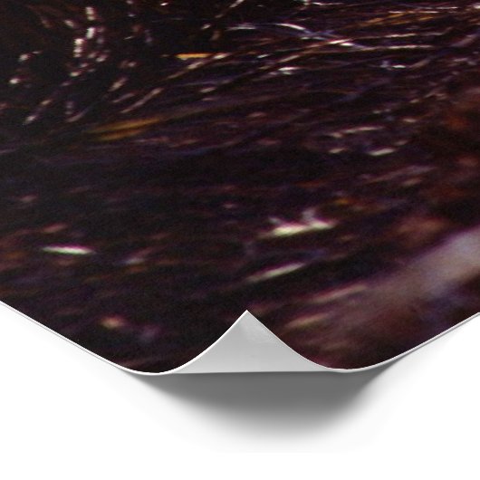 サトウキビ ポスター (角)