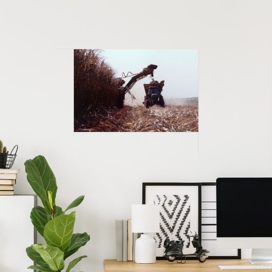 サトウキビ ポスター (ホームオフィス)