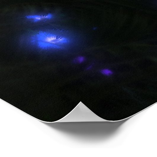 サトリ（夜） ポスター (角)