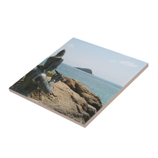 サドサコーン伝説…タイ,サタヒップ タイル (側面)