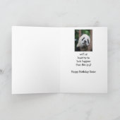 サドパンダベアハッピーバースデーシスターユーモア カード (内部)