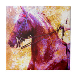 サドルシグランジート タイル