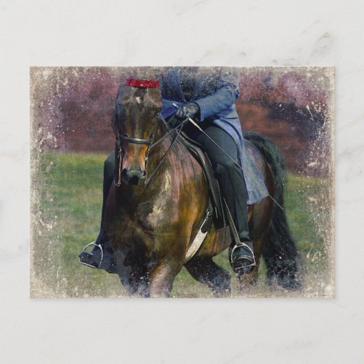 サドルシート ポストカード (正面)