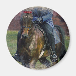 サドルシート マグネット