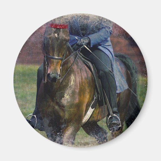 サドルシート マグネット (正面)