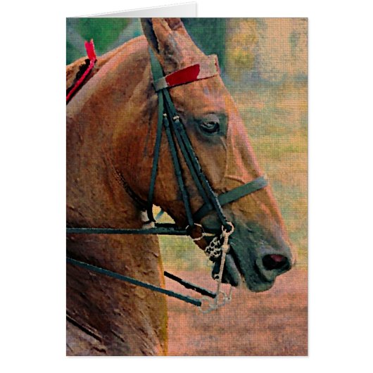 サドルフェイクバ絵画ッド (正面)
