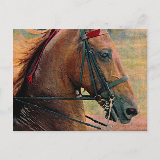 サドルフェイクバ絵画ッド ポストカード (正面)