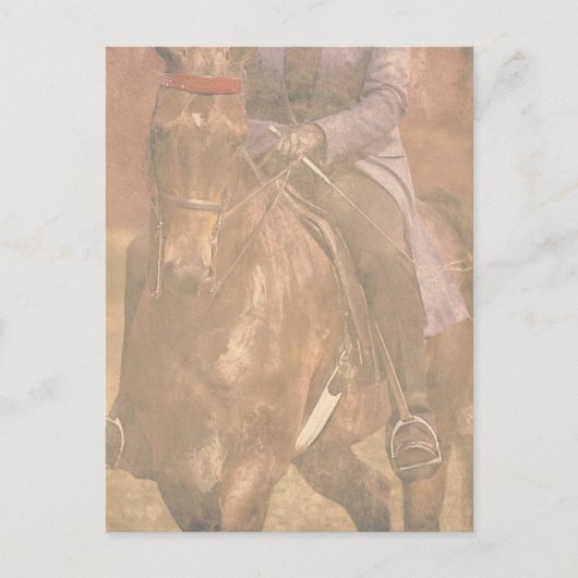 サドルブレッドの夢 ポストカード (正面)