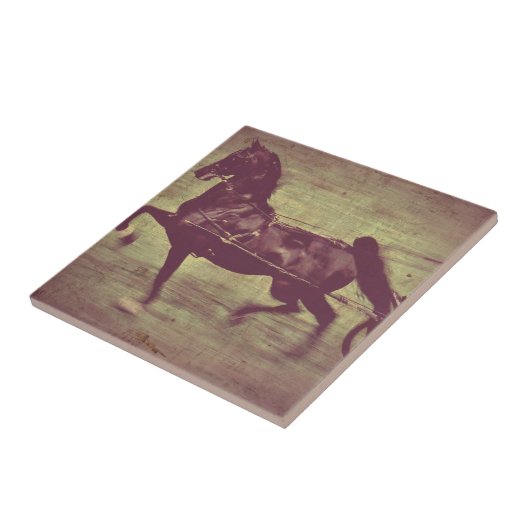 サドルブレッドの歌 タイル (側面)