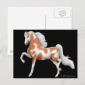 サドルブレッド・ピント・ポストカード ポストカード (正面/裏面)