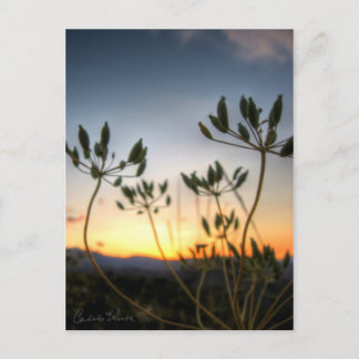 サドルロックサンセット ポストカード