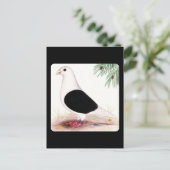 サドル・ホーマー・ピジョン ポストカード (スタンド正面)