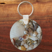 サニベルの貝殻 キーホルダー (正面)