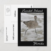 サニベルアイランドサンピパーポストカード ポストカード (正面/裏面)