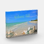 サニベルアイランドフロリダビーチと秋カボチャ フォトブロック (左)