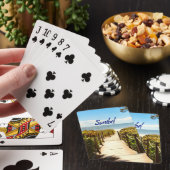 サニベルアイランドフロリダビーチ海 トランプ (インサイチュ)