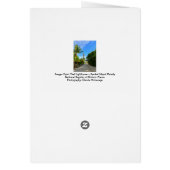 サニベルアイランドライトハウスフロリダガルフコーストカード (裏面)