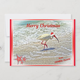 サニベルアイランドFLホワイトイビスからのメリークリスマス シーズンカード