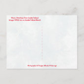 サニベルアイランドFLホワイトイビスからのメリークリスマス シーズンポストカード (裏面)