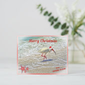 サニベルアイランドFLホワイトイビスからのメリークリスマス シーズンポストカード (スタンド正面)