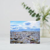 サニベルシェル ポストカード (スタンド正面)