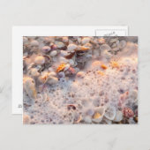 サニベル島でサーフィンと船酔い ポストカード (正面/裏面)