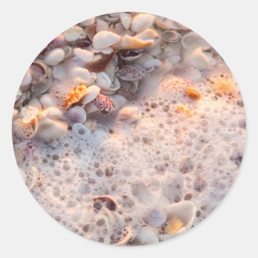 サニベル島でサーフィンと船酔い ラウンドシール (正面)