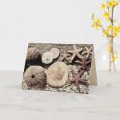 サニベル島とキャプティバ島の貝殻カード カード (黄色い花)