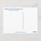 サニベル島 フロリダ州 - メキシコ湾岸 ポストカード (裏面)