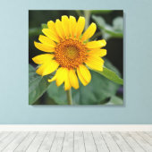 サニーかわいらしイエローサンフラワー24インチx 24インチ キャンバスプリント (インサイチュ (ウッドフロア))