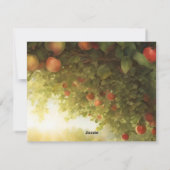 サニーアップルオーチャード シーズンカード (裏面)