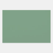 サニーイエローウォーターカラー植物学 ラッピングペーパーシート (正面2)