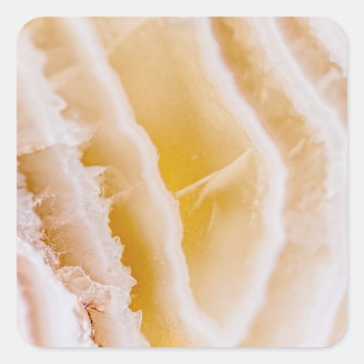 サニーイエローゲート スクエアシール (正面)