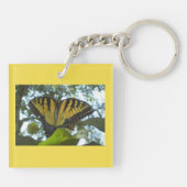 サニーイエロー(昆虫)オオカバマダラ、モナーク キーホルダー (裏面)