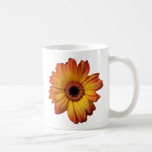 サニーオレンジゲルベラフラワー開花 コーヒーマグカップ (右)