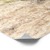 サニーカリフォルニアへようこそ ポスター (角)