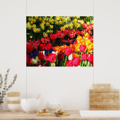 サニーガーデン ポスター (キッチン)