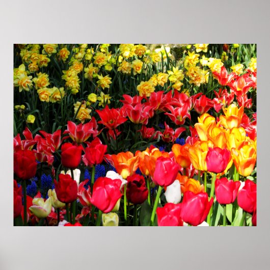 サニーガーデン ポスター (正面)