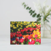 サニーガーデン ポストカード (スタンド正面)