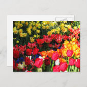 サニーガーデン ポストカード (正面/裏面)